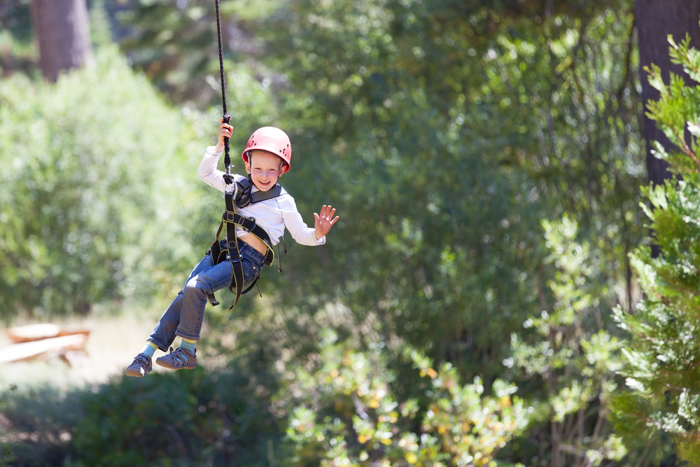 Zip Wires Course (High Flyer)